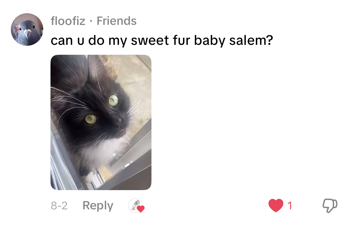 Example comment: a follower asks 'can u do my sweet fur baby salem?' and attaches a photo of their black-and-white cat.